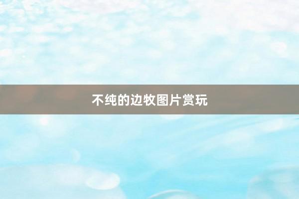 不纯的边牧图片赏玩