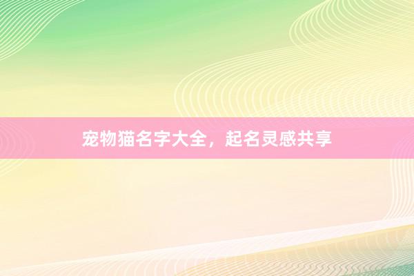 宠物猫名字大全，起名灵感共享