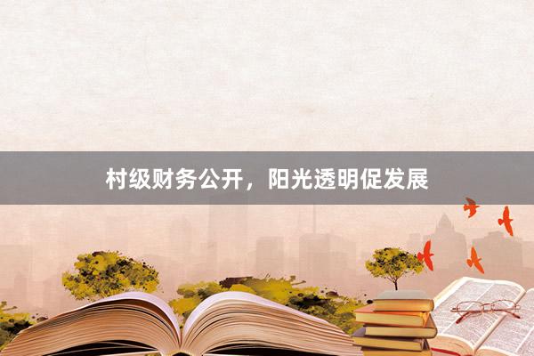 村级财务公开，阳光透明促发展